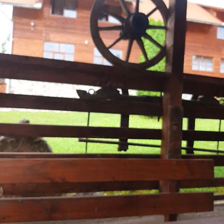 Pensiunea Codru Sălciua de Jos Buitenkant foto