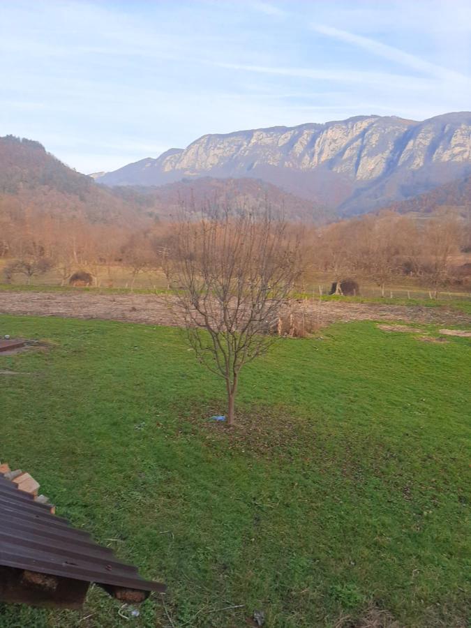 Pensiunea Codru Sălciua de Jos Buitenkant foto