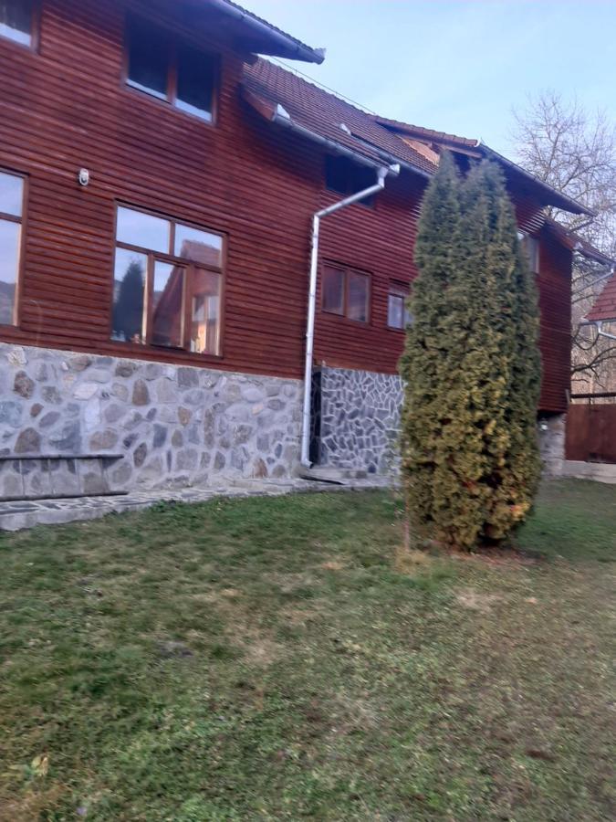 Pensiunea Codru Sălciua de Jos Buitenkant foto