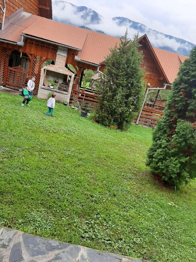 Pensiunea Codru Sălciua de Jos Buitenkant foto