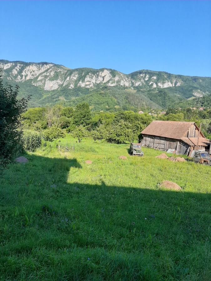 Pensiunea Codru Sălciua de Jos Buitenkant foto