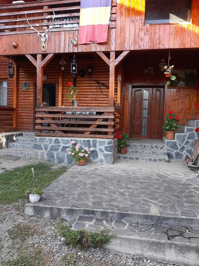 Pensiunea Codru Sălciua de Jos Buitenkant foto